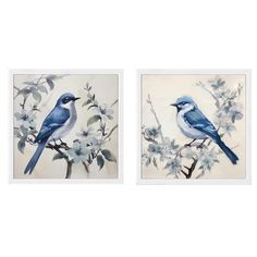 two blue birds sitting on top of a tree branch next to each other with white flowers