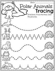 the worksheet for polar animals and their tracers is shown in black and white