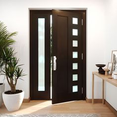 an entry door with glass inserts and potted plant in the corner next to it