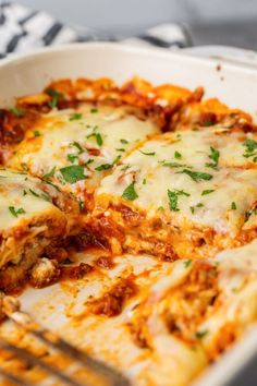 a casserole dish with meat, cheese and parmesan sauce on top