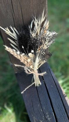 dried flowers sitting on top of a wooden bench