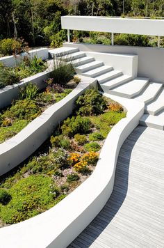 an outdoor garden area with stairs and plants on the sides, surrounded by white concrete walls