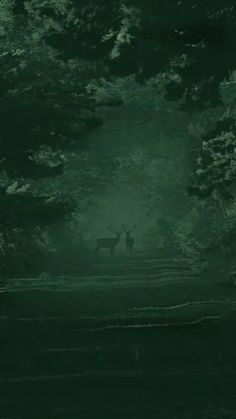 two deer standing in the middle of a forest at night with light shining on them