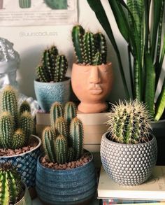 several different types of cactus in pots on a table next to books and other plants