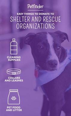 a black and white dog wearing a bandana with the words, easy things to donate to shelter and rescue organizations