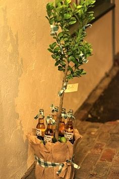 there is a small tree that has been placed in a bag with beer bottles on it