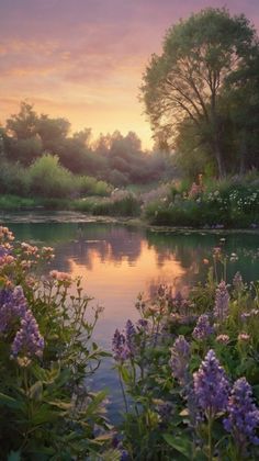 the sun is setting over a pond with purple flowers in bloom and trees around it