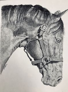 a black and white drawing of a horse's head with bridle on it