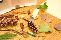 some pine cones, leaves and other things on a wooden table with a green marker