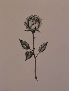 Desenho de uma rosa com três espinhos e 3 folhas em lápis para tatuagem. Thorned Rose Tattoo, Rose And Thorns Tattoo, Rose With Thorns Tattoo, Flower Tattoo Rose, Rose Thorn Tattoo, Rose Stem Tattoo, Stem Tattoo, Rose Tattoo Behind Ear, Half Sleeve Tattoos Sketches