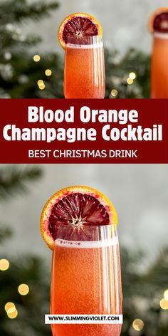 blood orange champagne cocktail with christmas decorations in the background and text overlay reading blood orange champagne cocktail best christmas drink