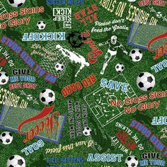 a green field with soccer balls and words all over the field in red, white, and blue