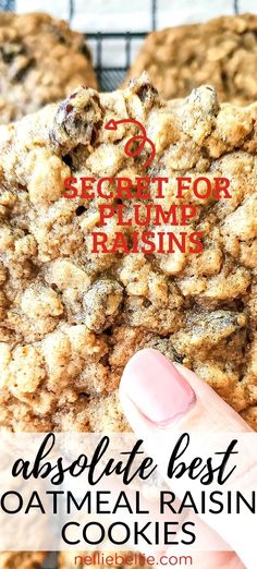 the best oatmeal raisin cookies recipe for breakfast or brunch