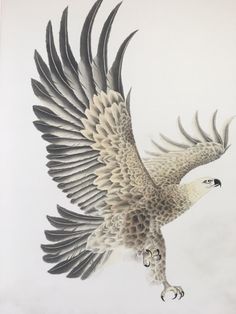 a drawing of a bird flying in the sky with its wings spread out and it's eyes open