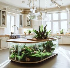 an island with plants and rocks in the middle of a large kitchen area that is well lit