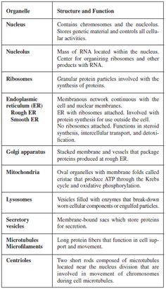 two different types of proteins are shown in this table, one is labeled with the names