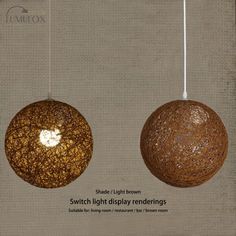 two brown balls hanging from strings on a wall with the words, switch light display renderings