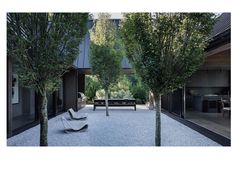 an empty courtyard with benches and trees in the foreground