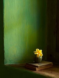 a small yellow flower sitting on top of a wooden box next to a green wall