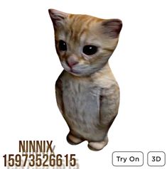 an image of a cat with big eyes on it's face and the caption ninjax