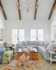 a dog sitting in the middle of a living room with couches, tables and lamps