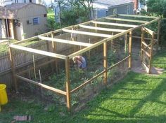 an outdoor garden area with lots of plants and people working in the back yard,