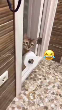 a cat is peeking out from behind a toilet paper roll in a bathroom with an emoticive smiley face on the wall