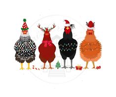 three chickens wearing christmas hats and standing next to each other