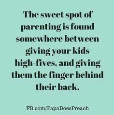 the sweet spot of parenting is found somewhere between giving your kids high fives, and giving them the finger behind their back