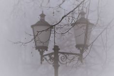 two street lamps on a foggy day with no leaves in the foreground and bare branches to the right