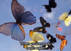 there are many butterflies flying in the blue sky and one is saying when you're ready, begin again