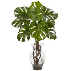 Bring the rainforest of southern Mexico to any living space with this Nearly Natural 26 in. Monstera Plant in Rocks with Glass Vase. This fake Monstera plant arrangement beautifies every corner of your home. This gapped leaf artificial plant can be perfectly paired with wicker furniture and woven textures for a tropical look. Complete with a clear, curved vase that shows off the fake plant's roots. Large and glossy leaves with deep oblong spaces for a natural look Thick dark brown roots to make the artificial plant look like the real thing Dimensions: 26 in. H x 18 in. W x 12 in. D Includes a curved clear glass vase with faux water Vase dimensions: 6 in. W x 6 in. D x 10.5 in. H Monstera Arrangement, Plant In Glass, Artificial Plant Arrangements, Artificial Plants Decor, Artificial Plants Indoor, Artificial Plant Wall, Philodendron Plant, Artificial Plants And Trees, Artificial Plants Outdoor