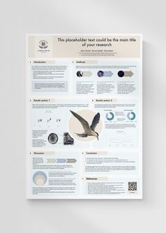 a poster with information about birds in flight