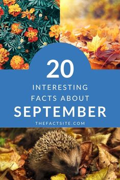 an image with the words, 20 interesting fact about september in blue and orange colors