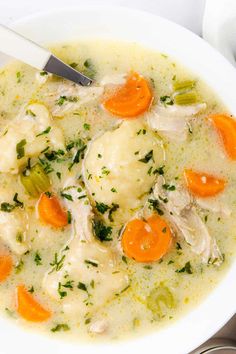 a bowl of chicken and dumpling soup with carrots, celery, and parsley