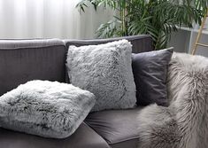 a gray couch with pillows on it in front of a potted plant