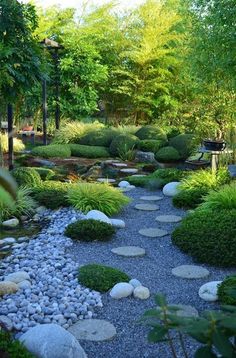 a garden with rocks and plants in the center, surrounded by green trees on either side