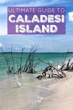 the beach with text overlay that reads ultimate guide to calades island