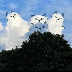 three white cats with blue eyes are on top of a tree in front of some clouds