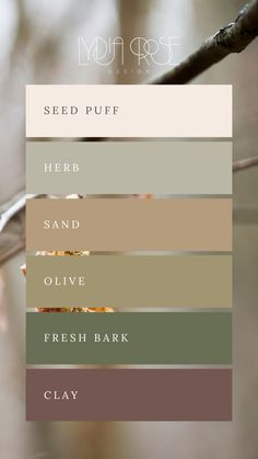 A mood board featuring an earthy tone color palette with swatches of brown, green, olive, sand, sage, and beige. The colors are arranged in a visually appealing layout to evoke the tranquility and natural beauty of a serene landscape. Ideal for inspiring branding projects, wellness designs, or elegant wedding themes, the palette combines rich, warm tones with soft, neutral hues to create a harmonious and sophisticated aesthetic. Color Pallets Nature, Muted Earth Tone Color Palette, Neutral Color Palette Hex Codes, Color Palette Wardrobe, Earth Color Palette, Branding Colour Palette, Best Greige Paint, Yoga Branding Design, Best Greige