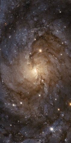 the spiral galaxy is shown in this image