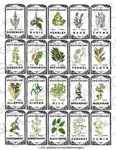 a bunch of different types of plants and flowers in labels with words that say them