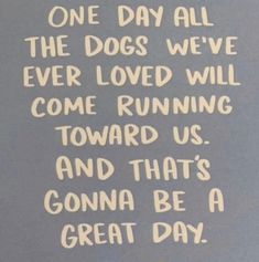 a sign that says, one day all the dogs we've ever loved will come running toward us and that's going to be a great day