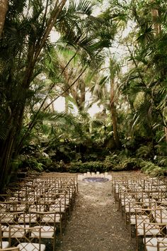 an outdoor ceremony with rows of chairs set up in front of palm trees and greenery