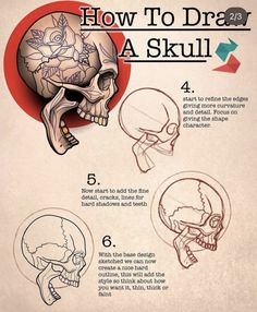 how to draw a skull for beginners with pictures and instructions on how to draw it