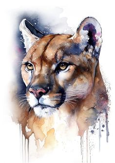 a watercolor painting of a mountain lion