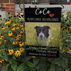 a black and white dog sitting in the grass next to flowers