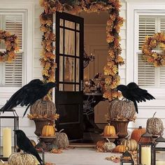 two black crows sitting on top of pumpkins in front of a door with candles