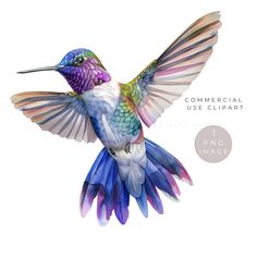 a colorful hummingbird flying through the air