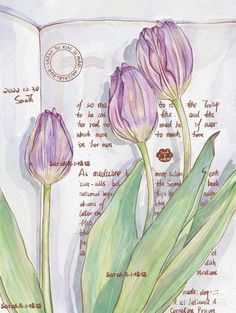 two purple tulips are in front of an open book with writing on it